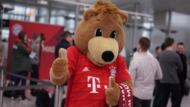 Images As Bayern Head To Belgrade Fc Bayern Munich