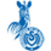 msv_duisburg