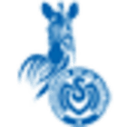 msv_duisburg