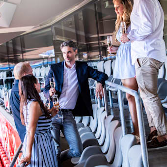 Experience VIP tours in the Allianz Arena