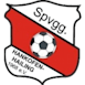 Spvgg_Hankofen-Hailing_Logo
