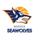 22-23-Logo-Rostock_Seawolves