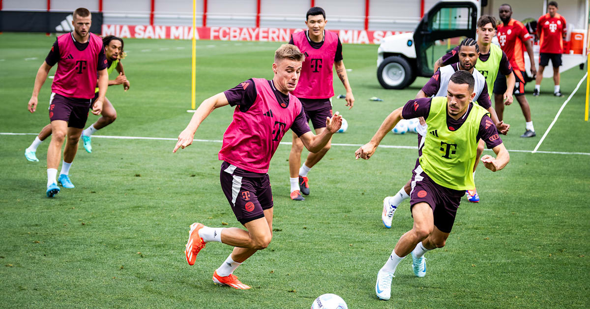 fc bayern trainingspant