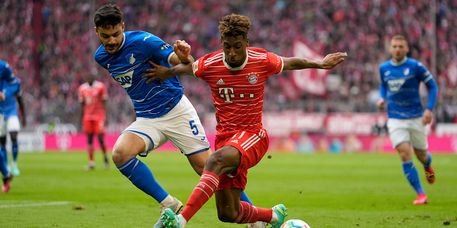 Live ticker: FC Bayern vs. Hoffenheim - Bundesliga 22/23