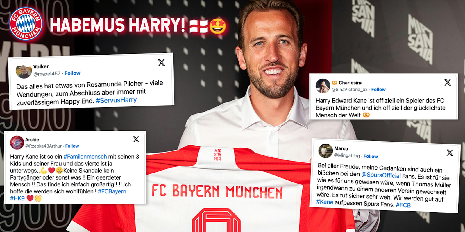 Habemus Harry! Eure besten