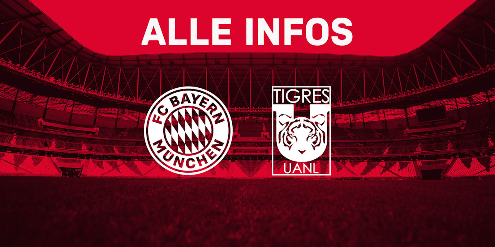 210211_InfosTigres_16x9