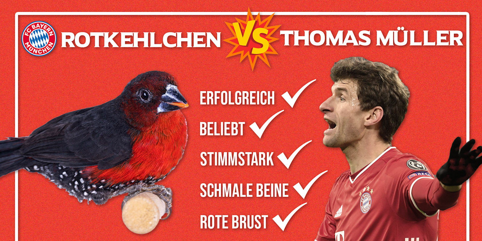 Rotkehlchen-vs-Mueller