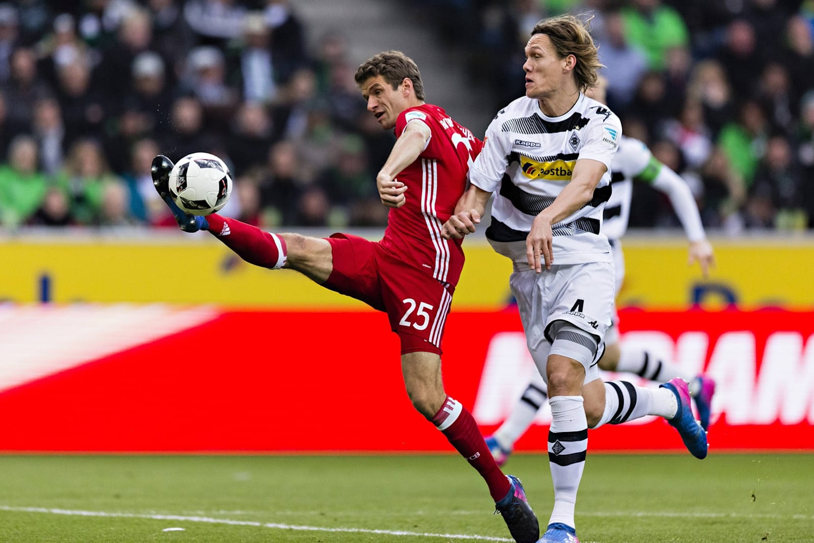 Em canliskorlar. Canliskorlar.