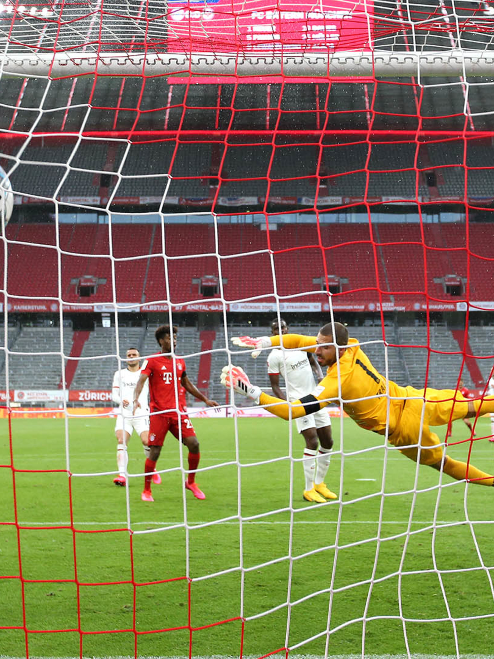 vpechatlyayushaya atakuyushaya mosh bavarii