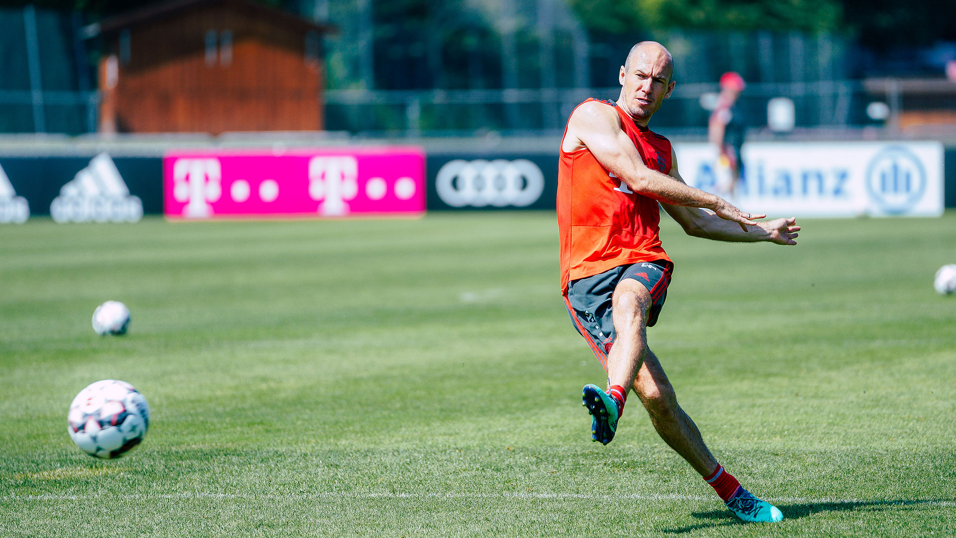 180804_robben_don