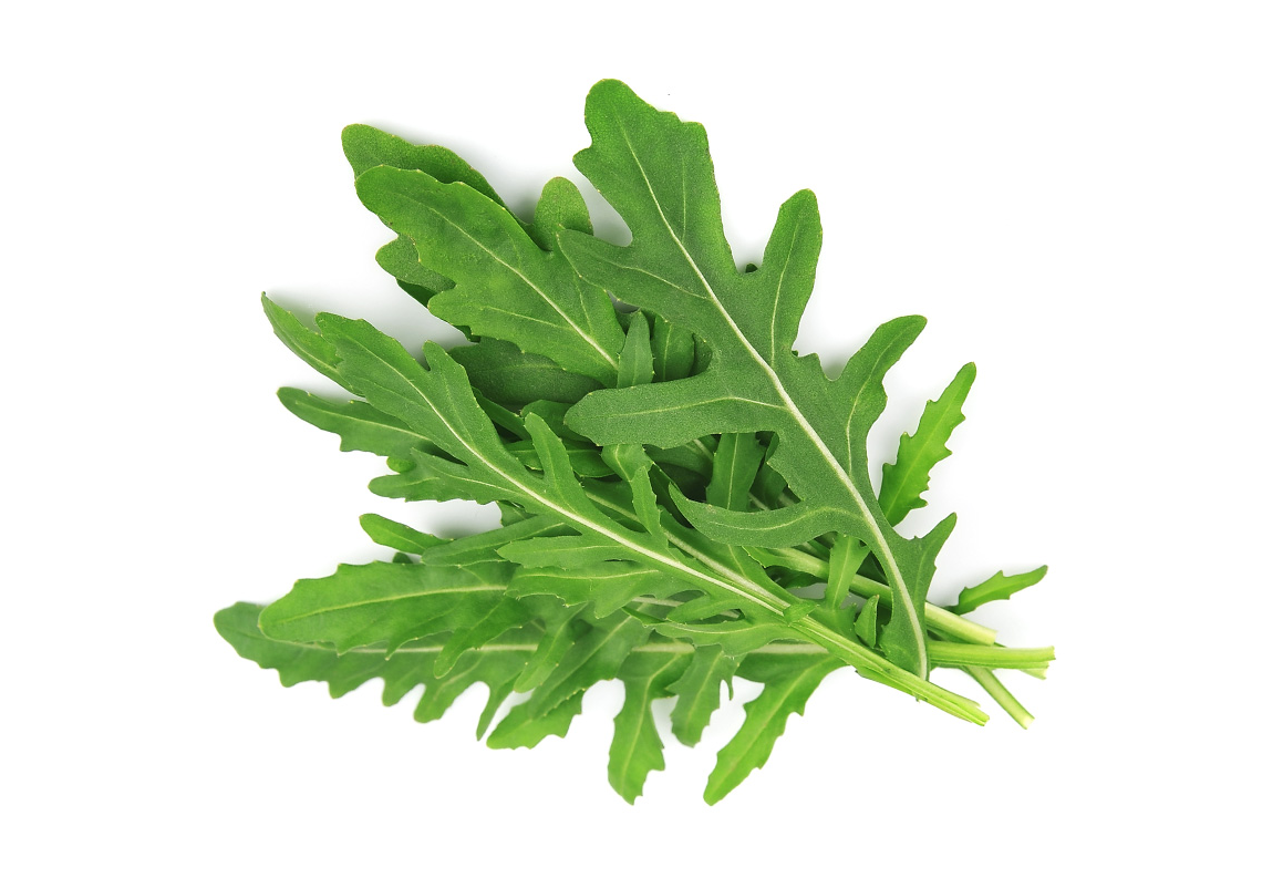 rucola