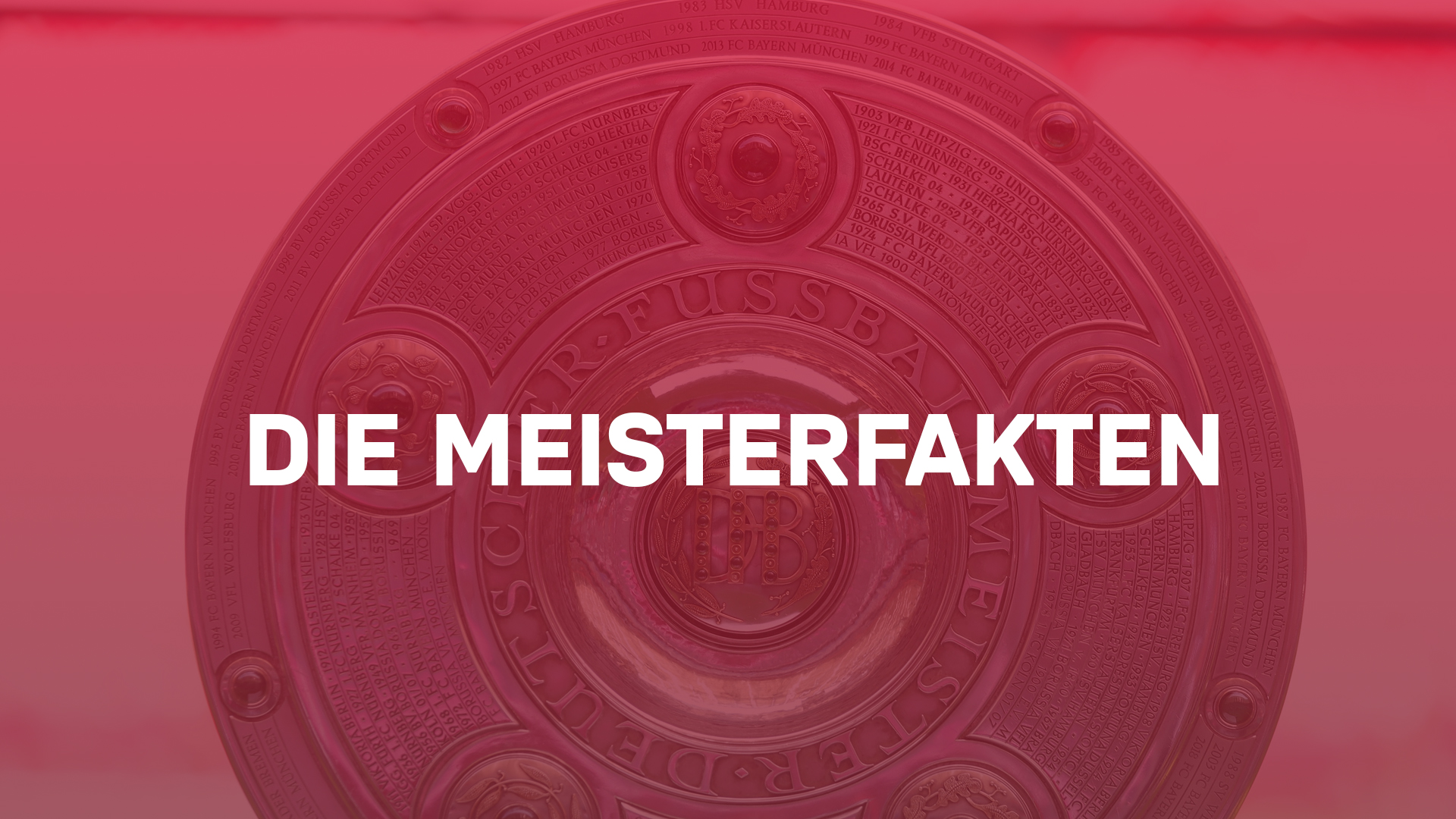 meisterfakten169