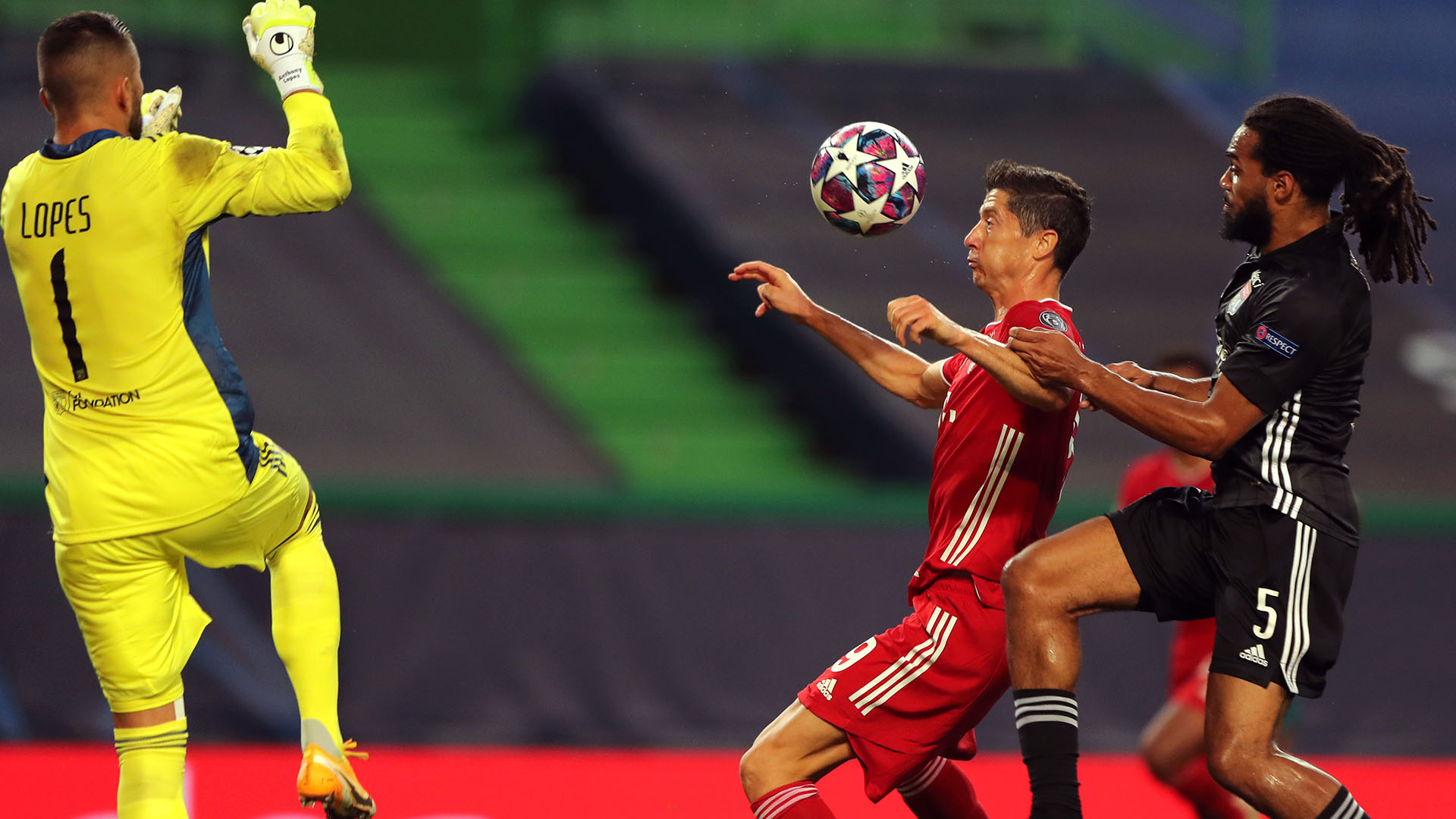 Bayer lyon highlights clearance