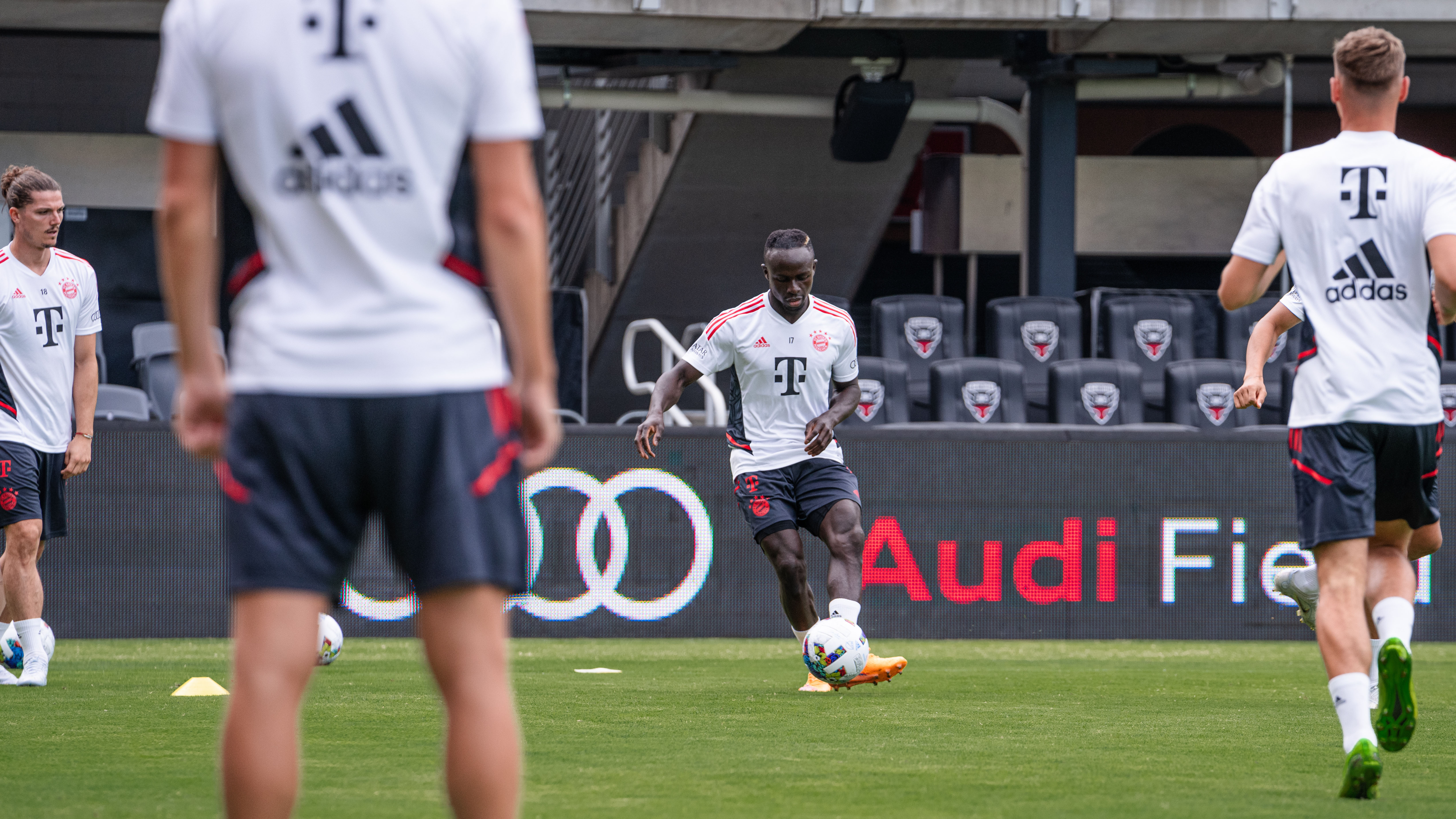 1907-mane-training