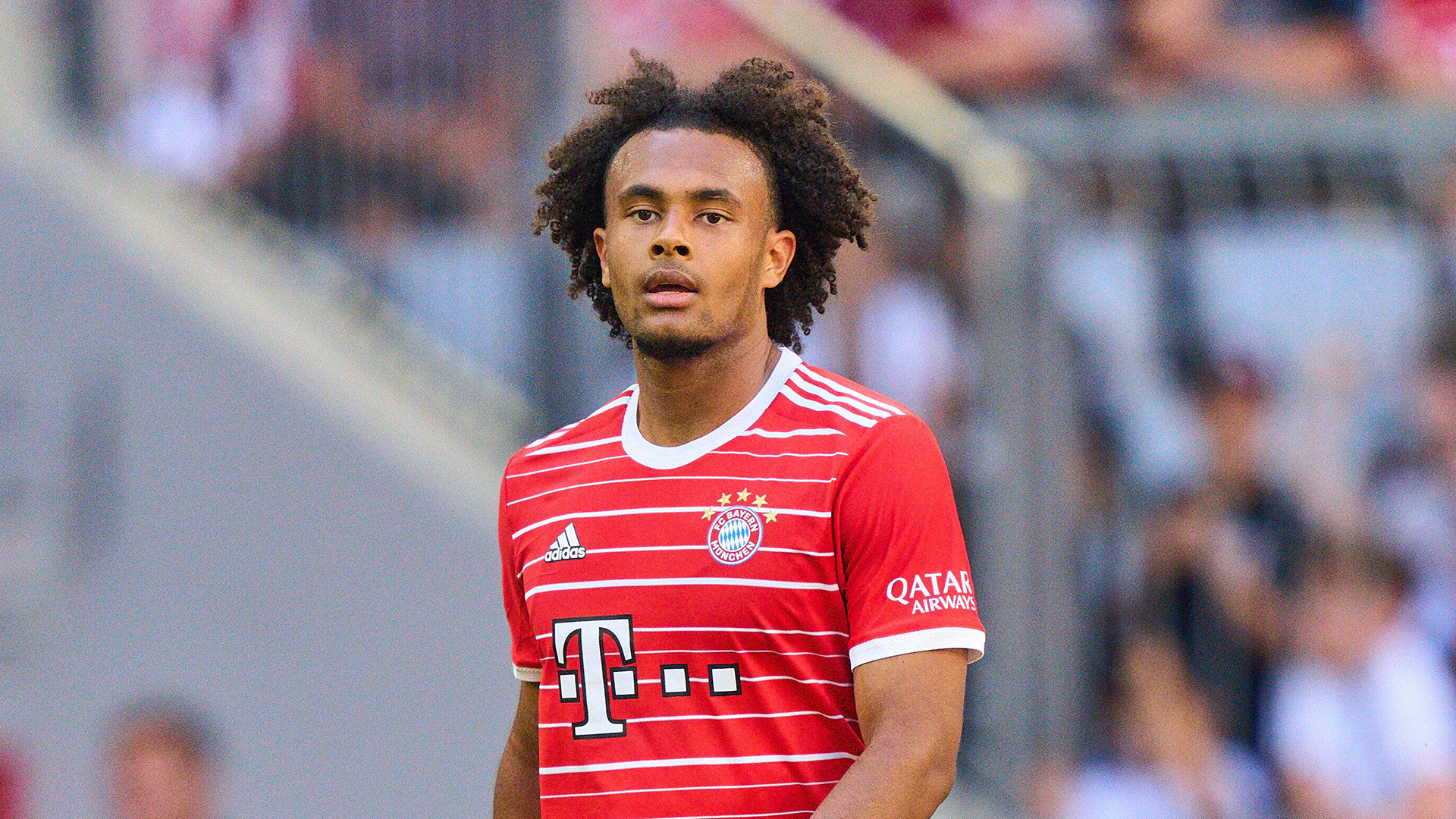 Joshua Zirkzee wechselt vom FC Bayern zum FC Bologna