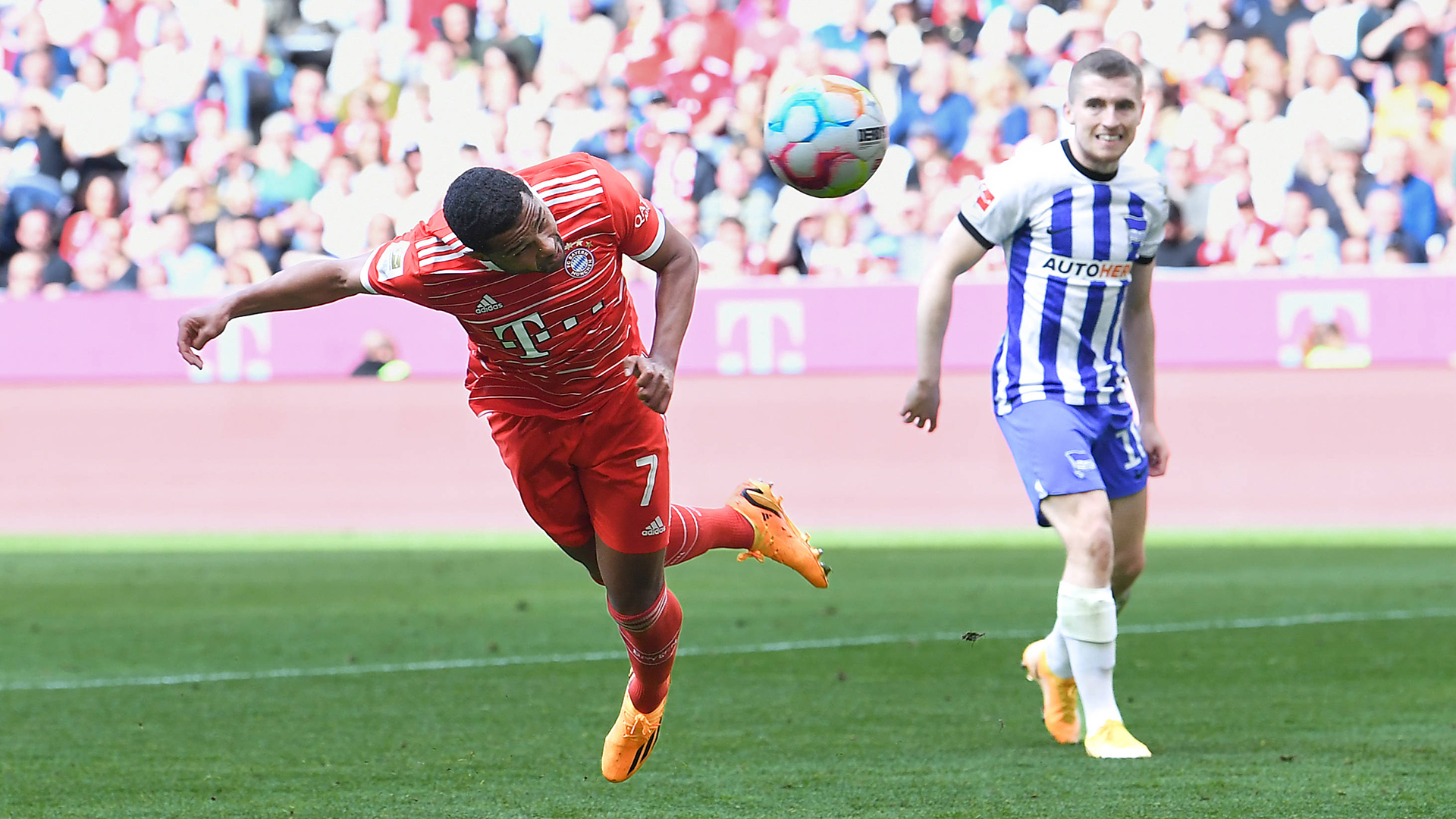 FC Bayern celebration Hertha BSC