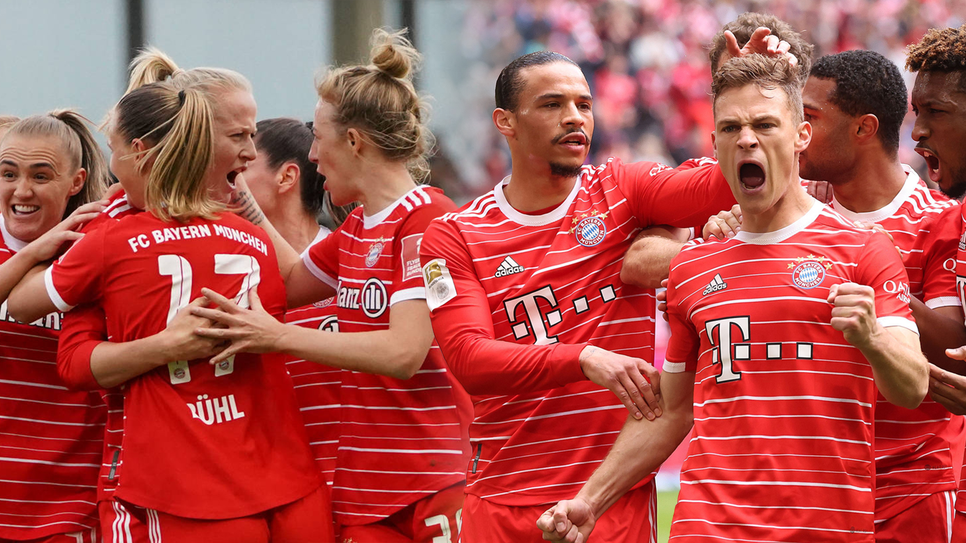 FC Bayern, FC Bayern Frauen, Titelrennen