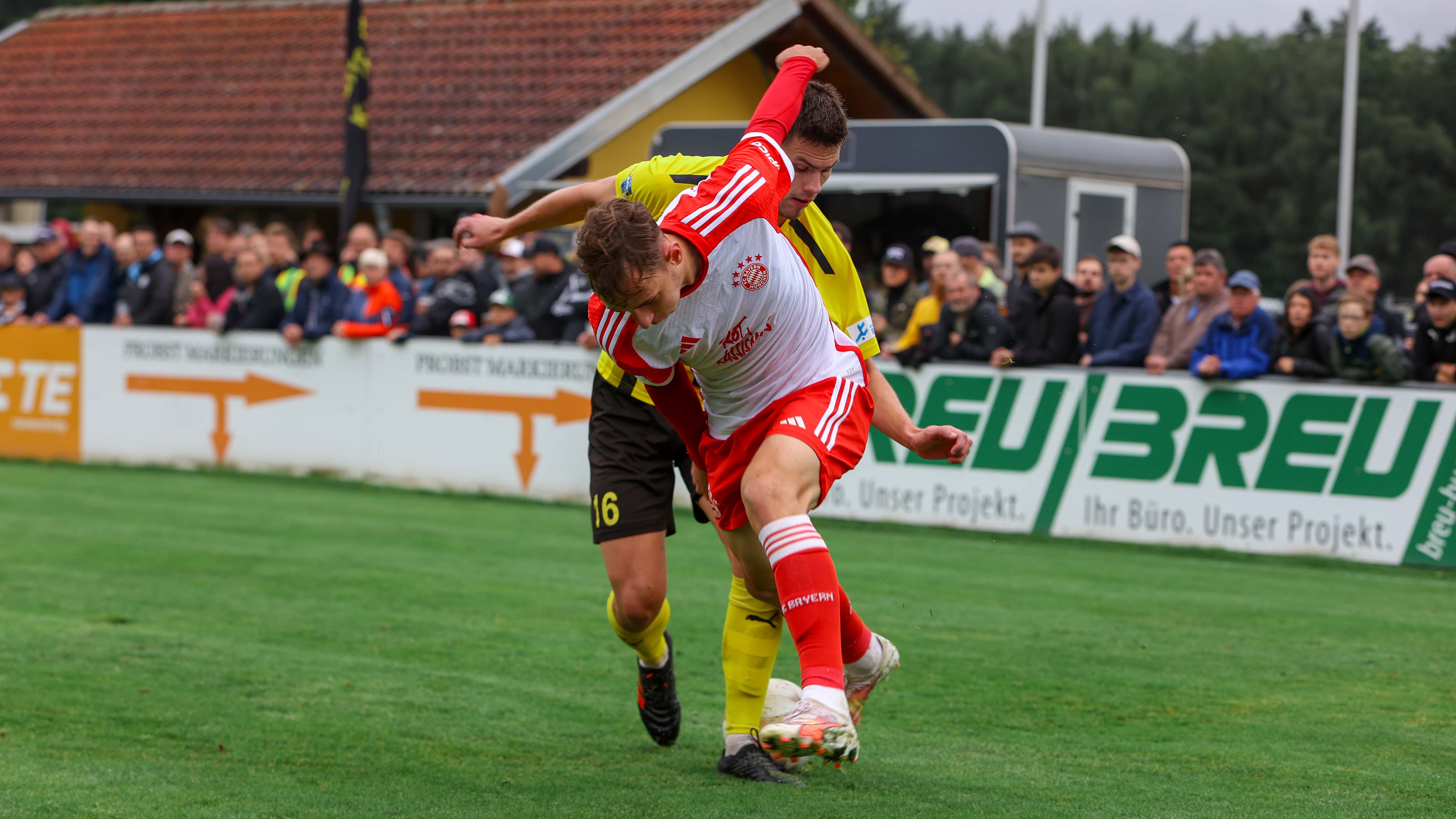 FC Bayern Amateure