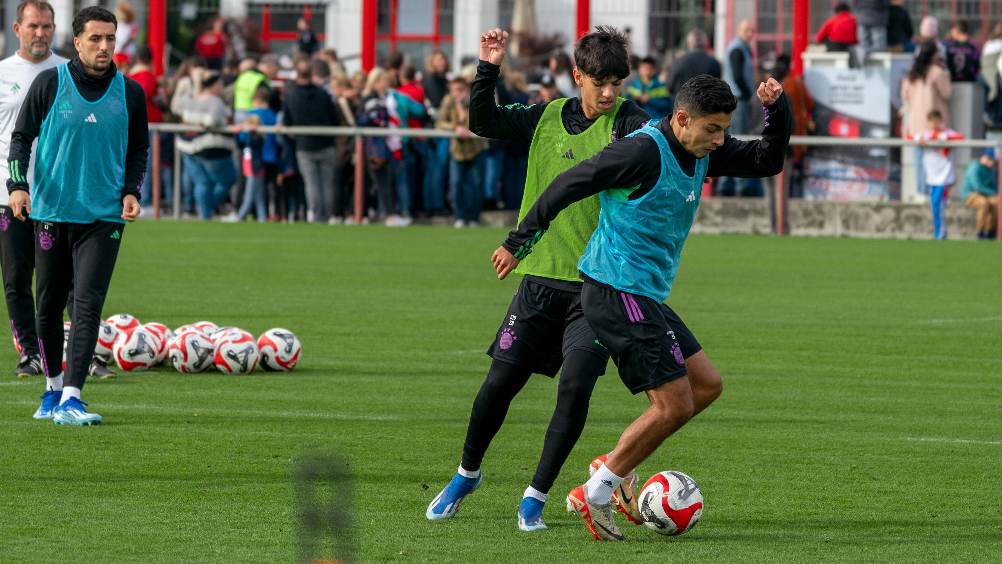 Training FC Bayern Amteure