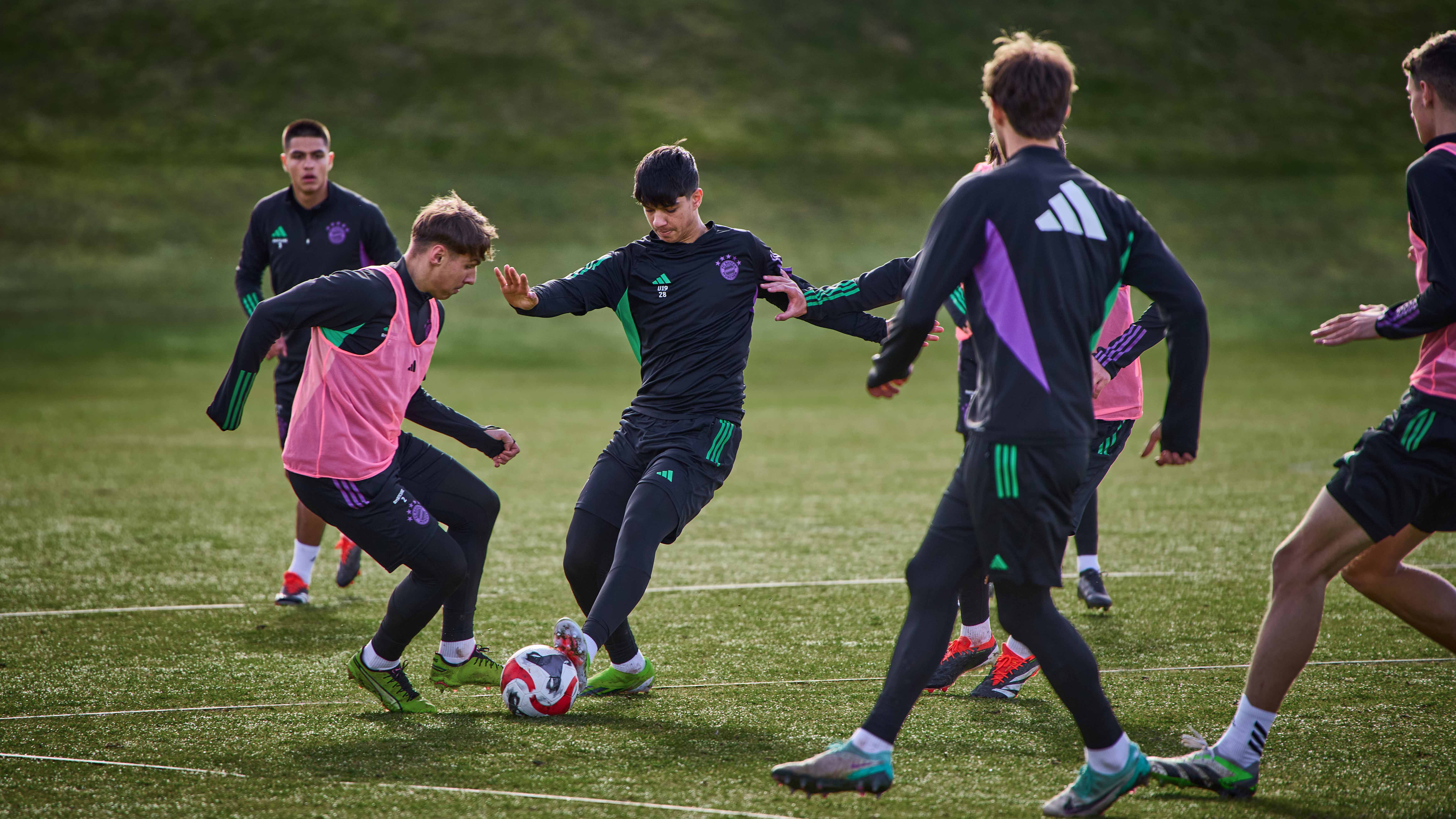 FC Bayern Amateure