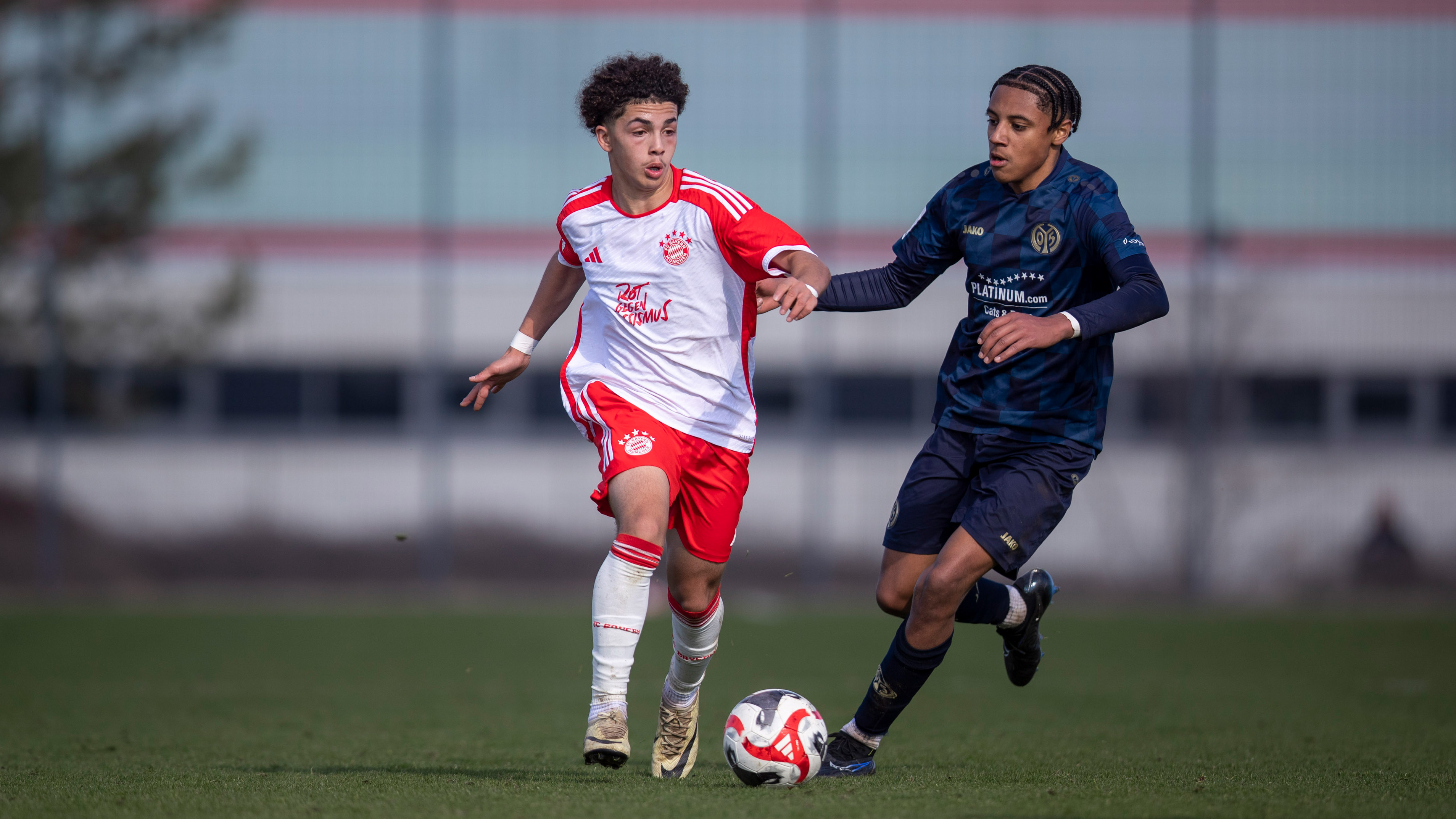 FC Bayern U17, FSV Mainz 05 U17