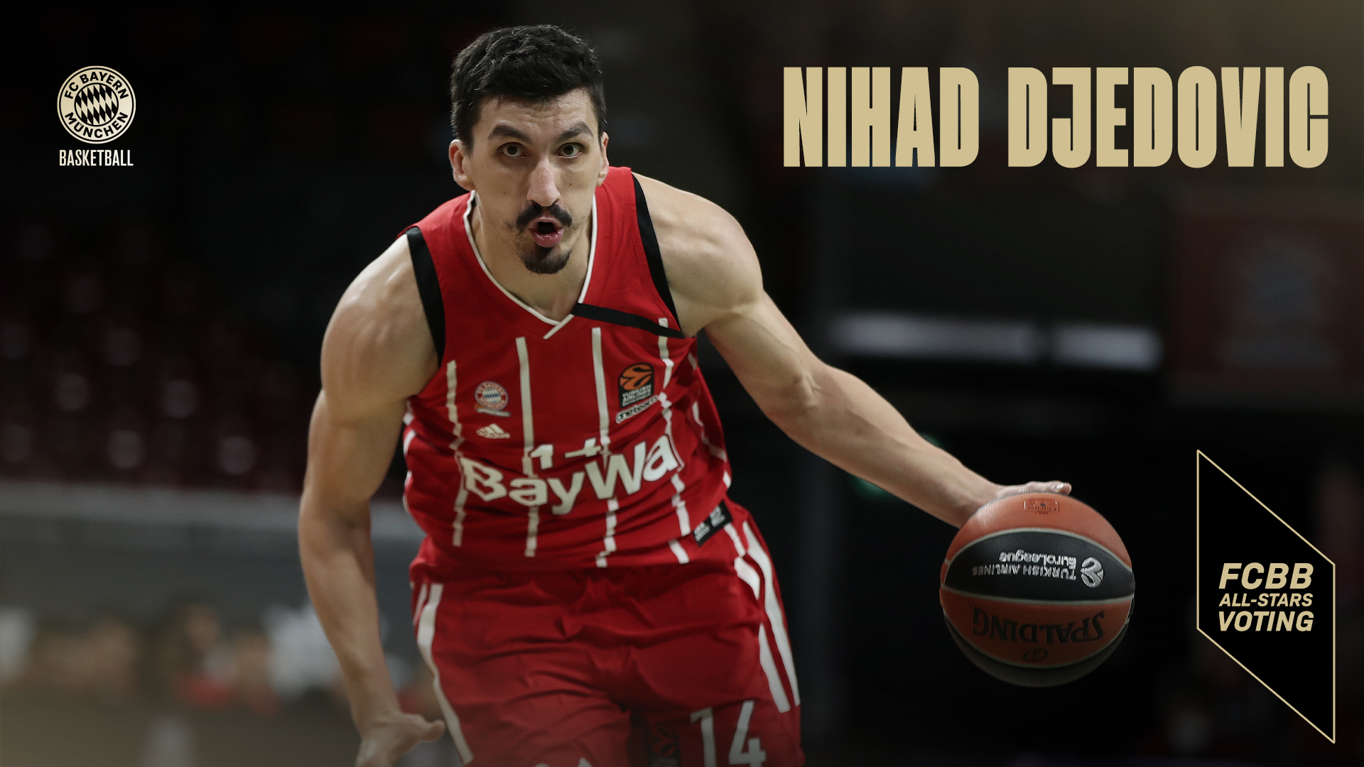 3_Nihad_Djedovic