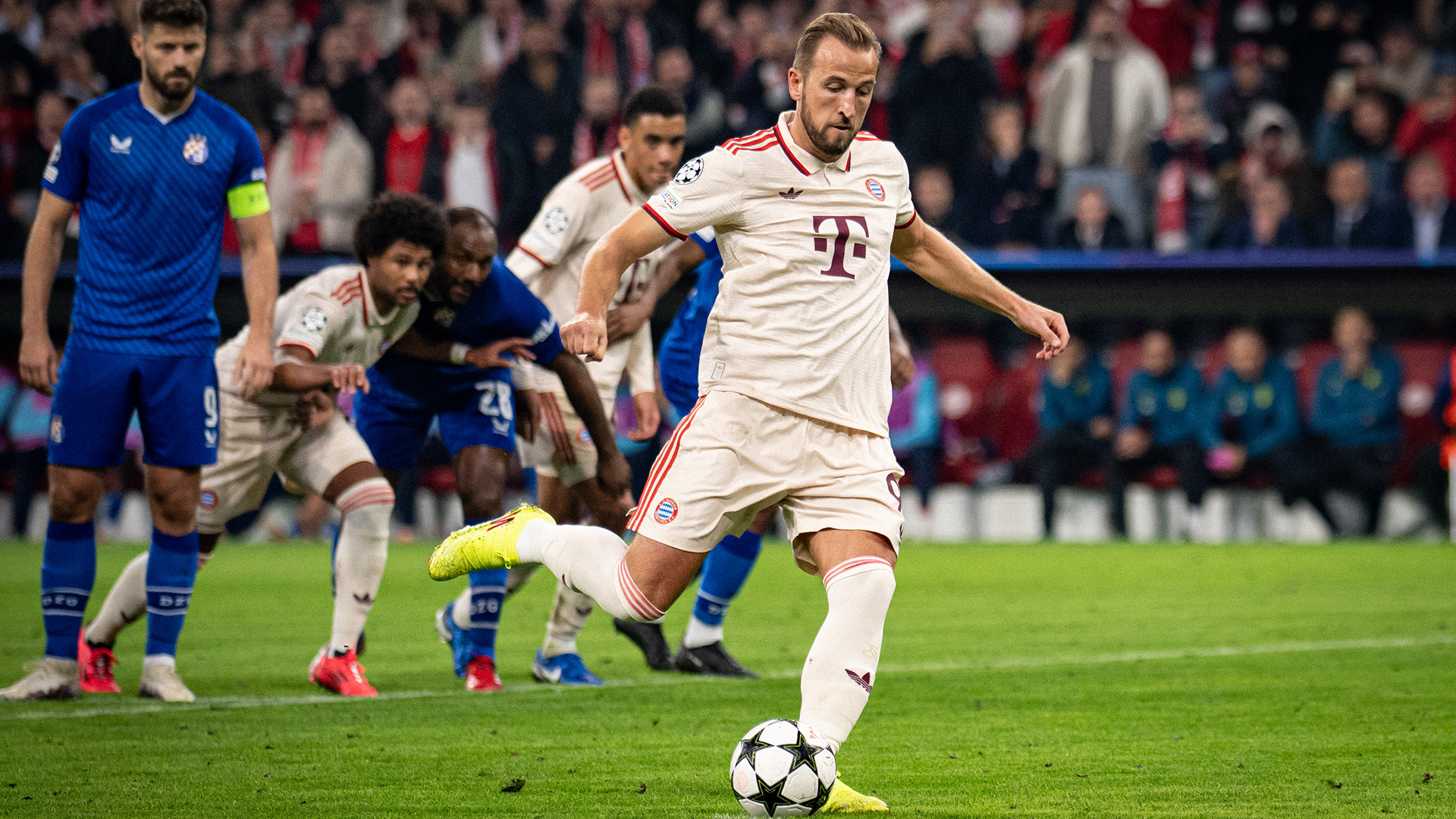 Harry Kane vom FC Bayern im Champions League-Spiel gegen Dinamo Zagreb