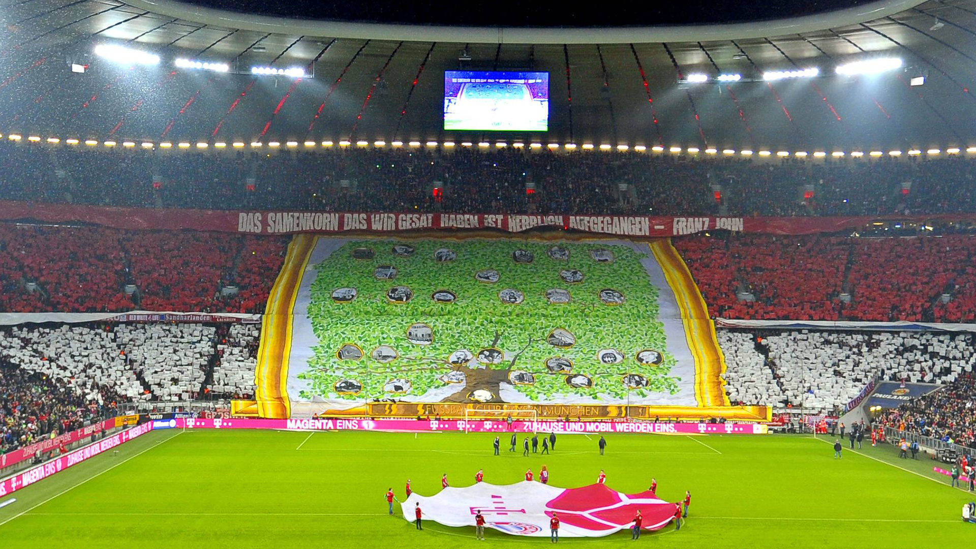 Choreos der FC Bayern-Fans