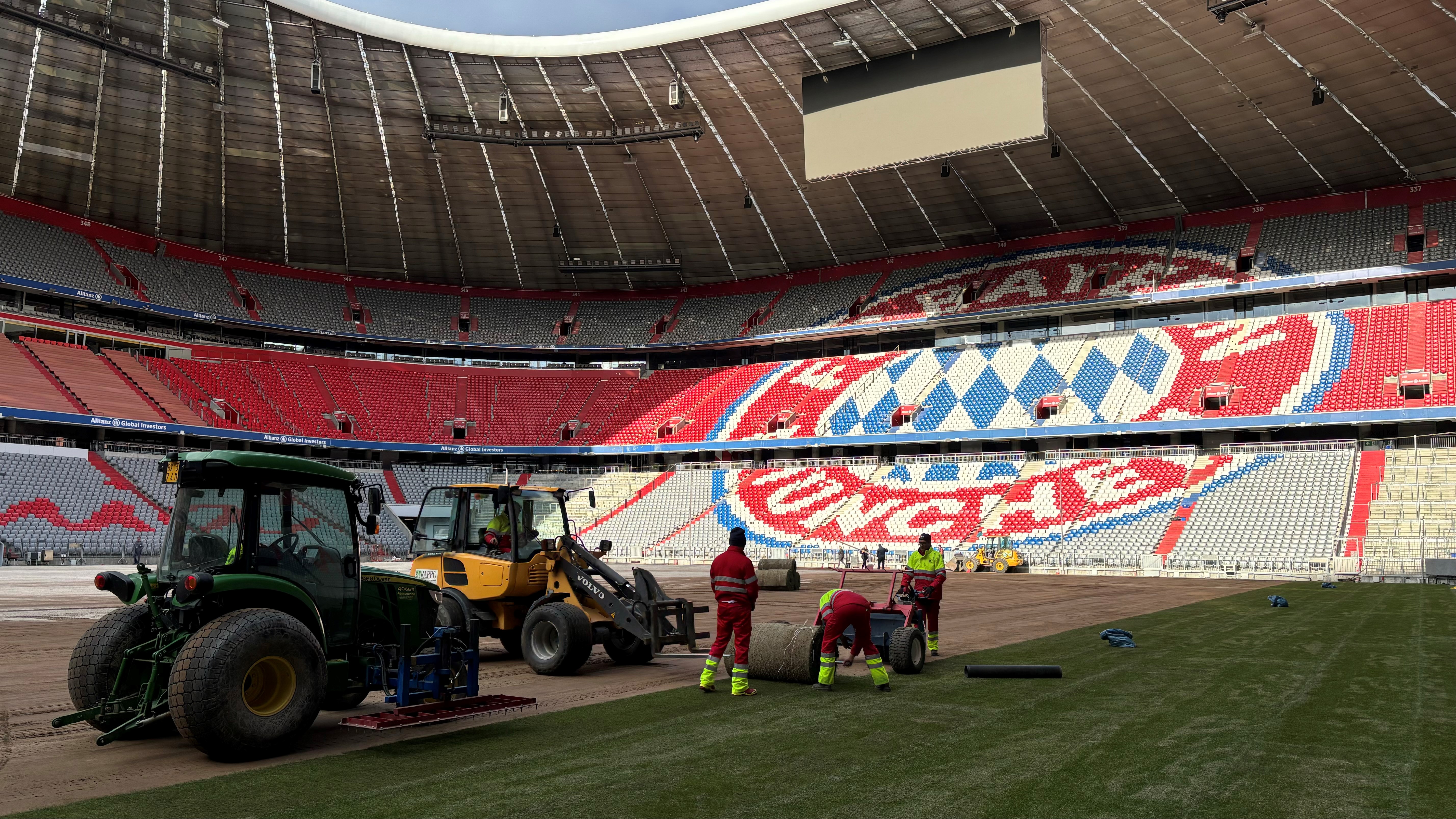 Ein neuer Rasen wird in der Allianz Arena verlegt