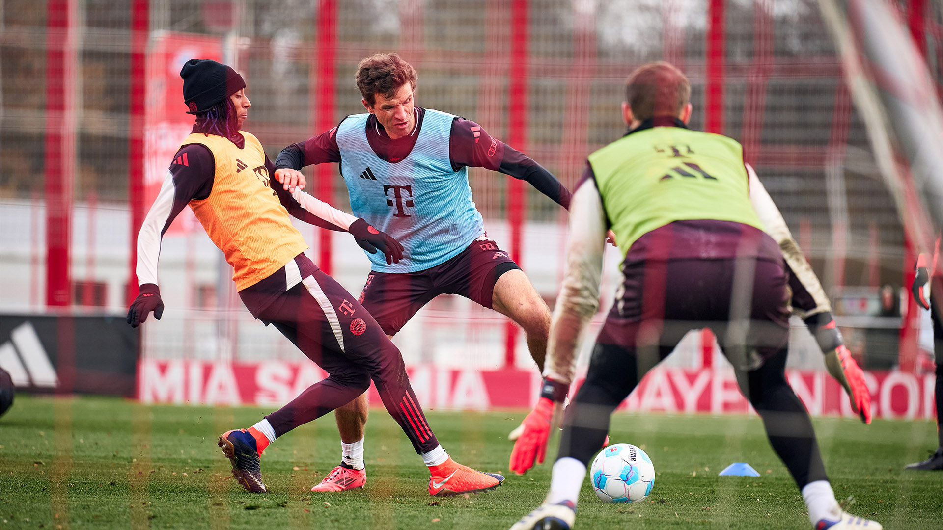 10-oeffentliches-training-fcbayern-241119_mel