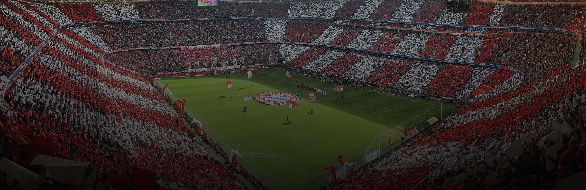 Allianz Arena, Munich